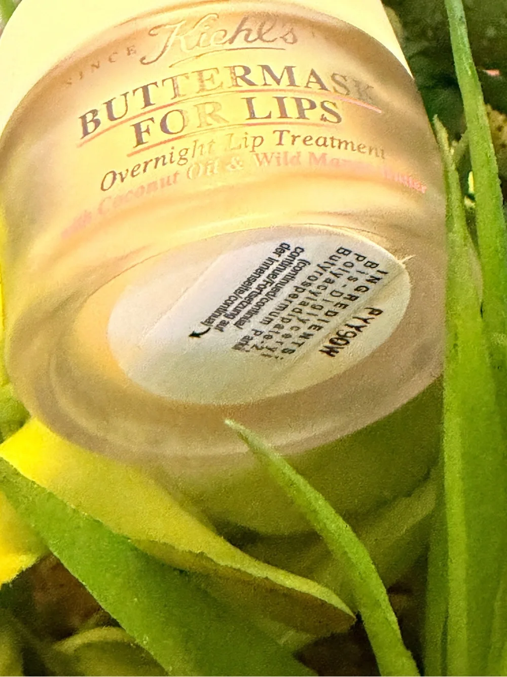 Kiehl's Buttermask-overnight lips treatment-with Coconut Oil & Wild Mango Butter